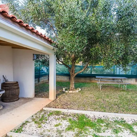 Vucetic Apartment